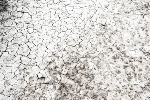 干裂沙漠地面纹理背景 — 图库照片