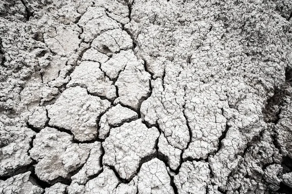 Dried and Cracked desert ground texture background