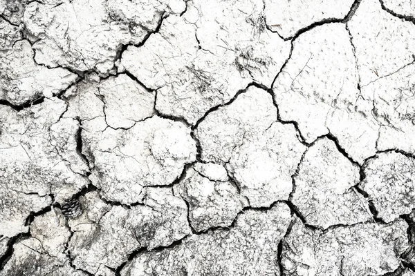 Dried and Cracked desert ground texture background