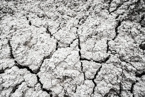 Dried and Cracked desert ground texture background