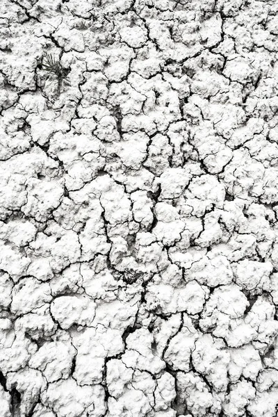Szárított és repedt sivatagi talaj textúra háttér — Stock Fotó
