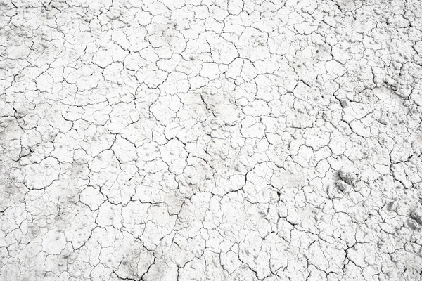 Dried and Cracked desert ground texture background