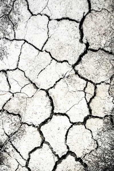 乾燥したひび割れた砂漠の地面のテクスチャの背景 — ストック写真