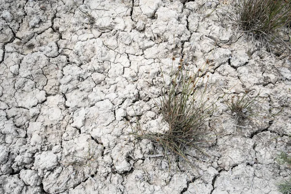 Secco e incrinato deserto terra texture sfondo — Foto Stock