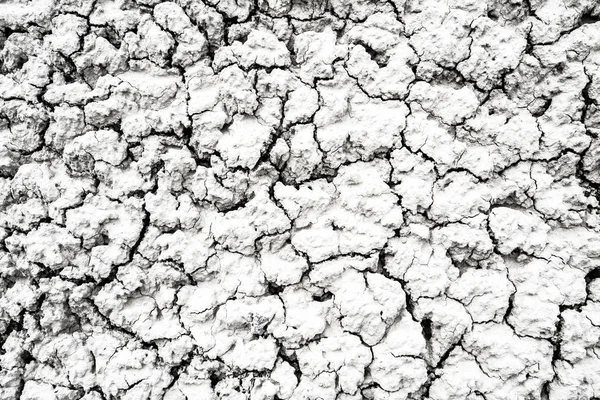 Getrocknete und rissige Wüstenboden Textur Hintergrund — Stockfoto