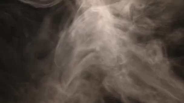 大気煙霧効果 Vfx エレメント ヘイズの背景 抽象的な煙雲 黒い背景にスローモーションで煙 白い煙がゆっくりと黒い背景に向けて空間を通って浮かぶ — ストック動画