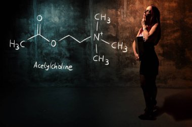 Seksi kız veya sekreter veya asetilkolin handdrawn kimyasal formülü sunan kız öğrenci