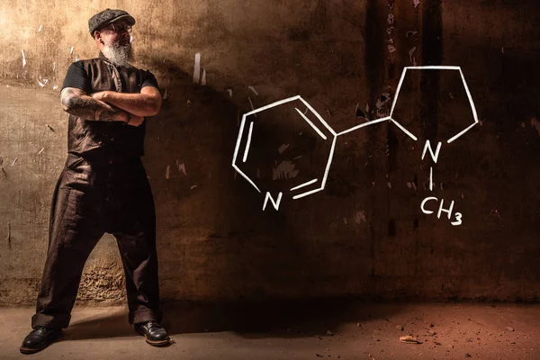 Homem velho barbudo apresentando fórmula química desenhada à mão de nicotina — Fotografia de Stock