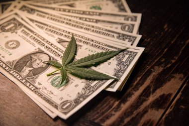 Para Esrar Dolar fatura ve Tıbbi Marijauna Masada