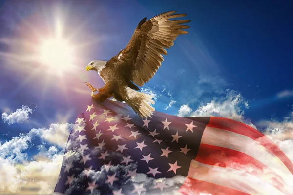 patriotic eagle taking wing with of US flag