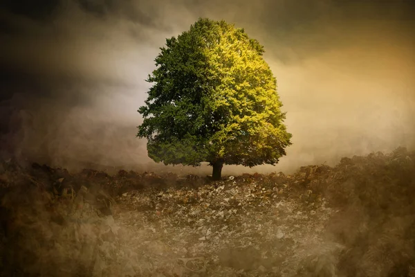 Albero solitario in un ambiente irreale surreale inquinamento della natura spazzatura CO2 — Foto Stock