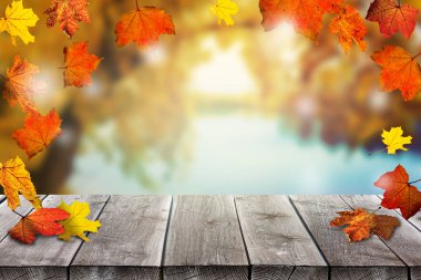 Sonbahar akçaağaç yaprakları ahşap masa üzerinde. Düşen yapraklar doğal arkaplan..