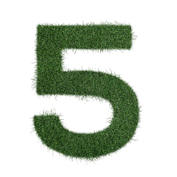 Número 5 cinco hecho de hierba - aklphabet naturaleza ambiente verde —  Fotos de Stock