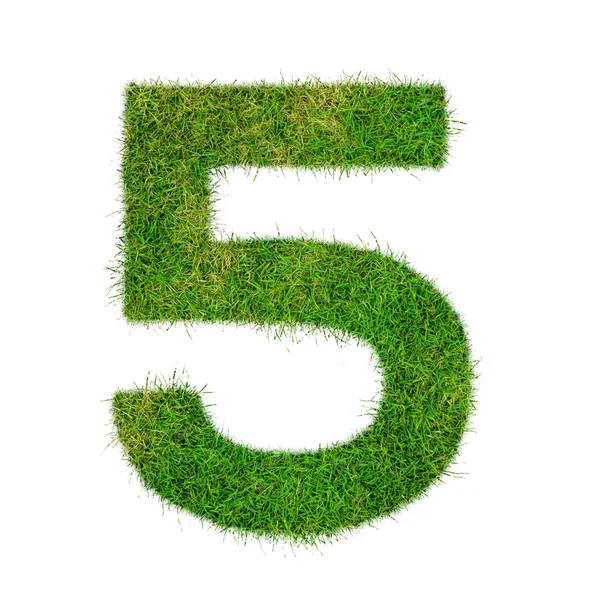 Number 5 five made of grass - aklphabet green environment nature — Stock Photo, Image