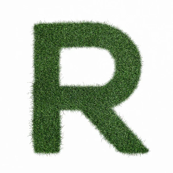 字母 R 由草制成 - 阿夫帕贝特绿色环境自然 — 图库照片