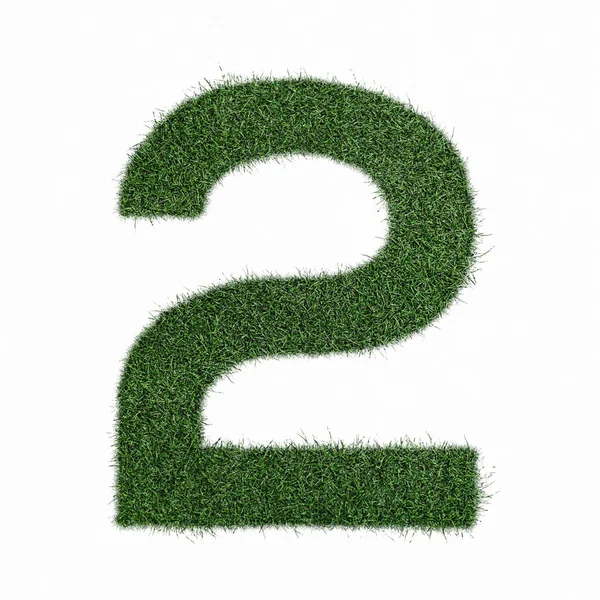Nummer 2 zwei aus Gras - aklphabet grüne Umgebung Natur — Stockfoto