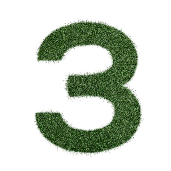 Number 3 three made of grass - aklphabet green environment nature — Stock Photo, Image