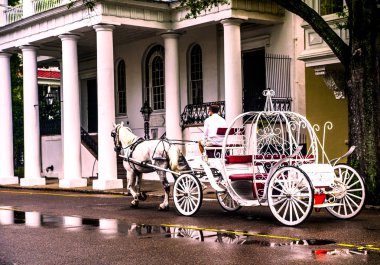 Charleston Sc Tarihi Şehir Merkezi.