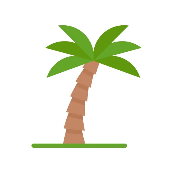 Hawaii Icon Related Coconut Tree Φύλλα Και Καρύδες Διάνυσμα Επίπεδο — Διανυσματικό Αρχείο