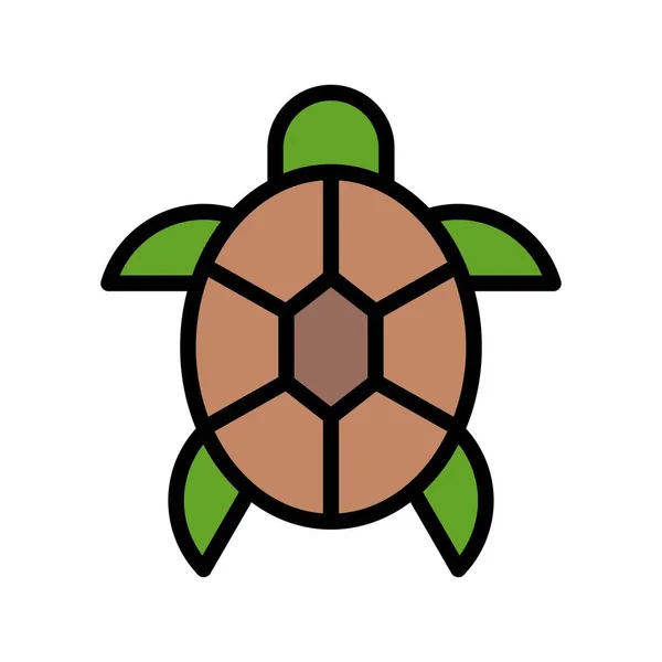 Hawaii Icoon Gerelateerde Hawaii Schildpad Met Nek Benen Vector Met — Stockvector