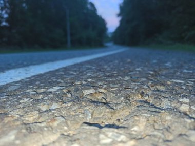 Şafakta ormanda yol