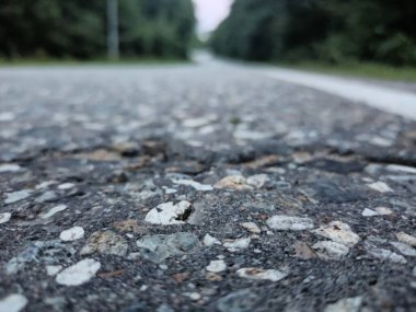 Şafakta ormanda yol