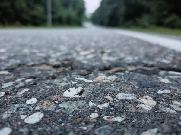 Şafakta ormanda yol