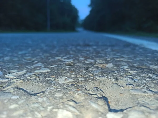 Şafakta ormanda yol