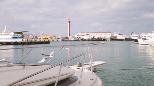 Ciudad Sochi Mar Negro Puerto Marítimo Silencio — Vídeo de stock
