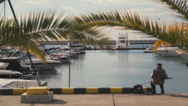 Città Del Mar Nero Sochi Porto Marittimo Silenzio — Video Stock