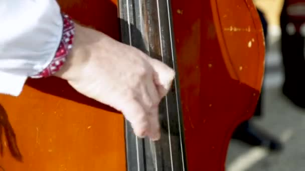 Contrebasse Homme Joue Sur Instrument Musique — Video