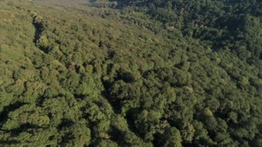 Orman ve dağlar üzerinde uçan Quadrocopter. Ufuk üzerinde tatil beldesi ve Adler. Abhazya ve Krasnaya Polyana. Tatil sezonu. Yaz. Sochi hava fotoğrafçılığı