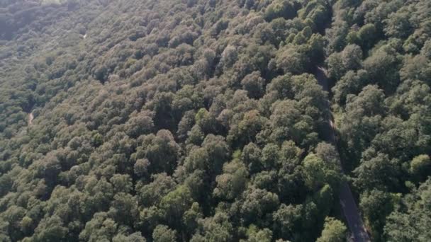 Quadrocopter Volando Sobre Bosque Las Montañas Horizonte Ciudad Turística Adler — Vídeos de Stock