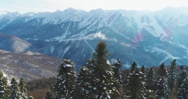Χιονισμένα Δέντρα Και Βουνά Στο Φόντο Σότσι Krasnaya Polyana Rosa — Αρχείο Βίντεο