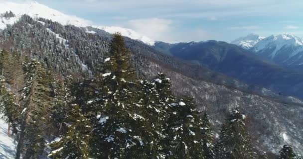 Árvores Cobertas Neve Montanhas Fundo Sochi Krasnaya Polyana Rosa Khutor — Vídeo de Stock
