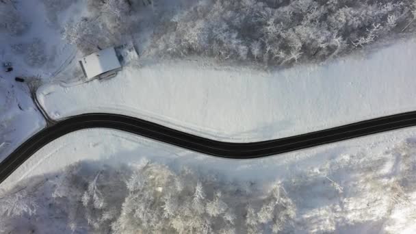 Kurvenreiche Straße Winterwald Weißer Schnee Auf Den Bäumen Luftaufnahmen Mit — Stockvideo