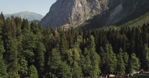 Aerial View Mountain River Abkhazia — Stock Video