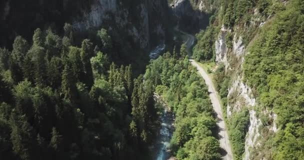 Εναέρια Άποψη Του Ποταμού Στο Βουνό Στην Αμπχαζία — Αρχείο Βίντεο