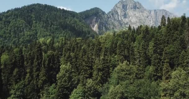 Aerial View Mountain River Abkhazia — Stock Video