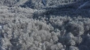 Krasnaya Polyana, Sochi. Dağlar, kar, kayakçı, snowboard, turist. Tatil dağlarda. Temiz hava. Quadcopter ile hava fotoğrafçılığı.