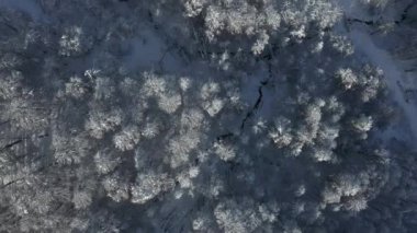 Krasnaya Polyana, Sochi. Dağlar, kar, kayakçı, snowboard, turist. Tatil dağlarda. Temiz hava. Quadcopter ile hava fotoğrafçılığı.