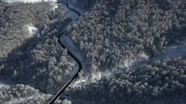 Krasnaya Polyana Sotchi Montagnes Neige Skieurs Snowboarders Touristes Vacances Dans — Video