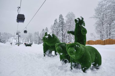 İçinde belgili tanımlık fotoğraf resimde yeşil çim çimen ayı. Yapay ayı