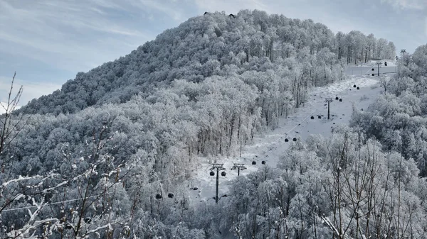 冬季的缆车 越过山脉 滑雪场 天气又冷又美 雪中的树 蓝色和白色 — 图库照片