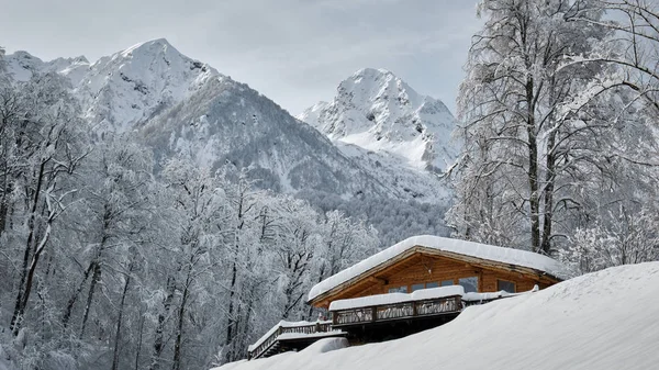 Winter house and spruce tree in a winter snowy panoramic landscape on a sunny day