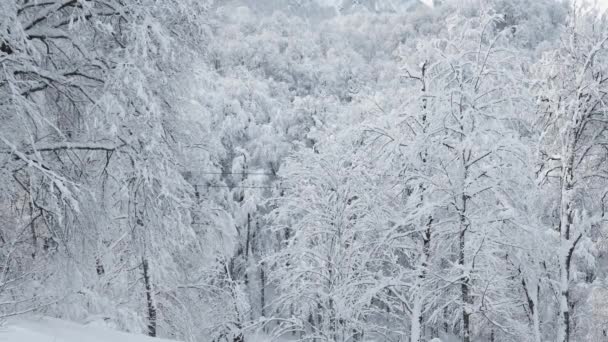 雲と雪の山リッジ渓谷空撮ケーブル車を持ち上げます 屋外の雪アルプス大自然観光ゴンドラ輸送冬 冬の標高の高いゴンドラ スキー ゴンドラ — ストック動画