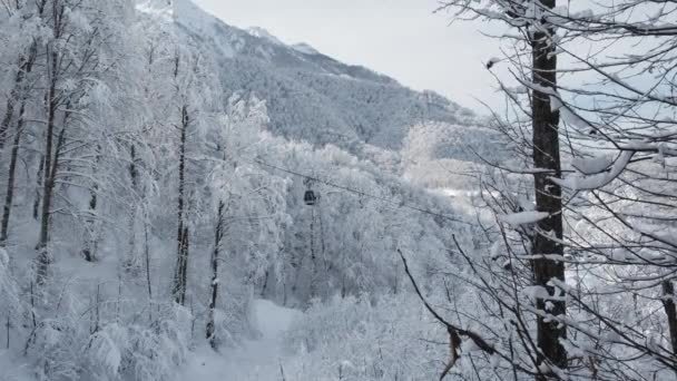 雲と雪の山リッジ渓谷空撮ケーブル車を持ち上げます 屋外の雪アルプス大自然観光ゴンドラ輸送冬 冬の標高の高いゴンドラ スキー ゴンドラ — ストック動画