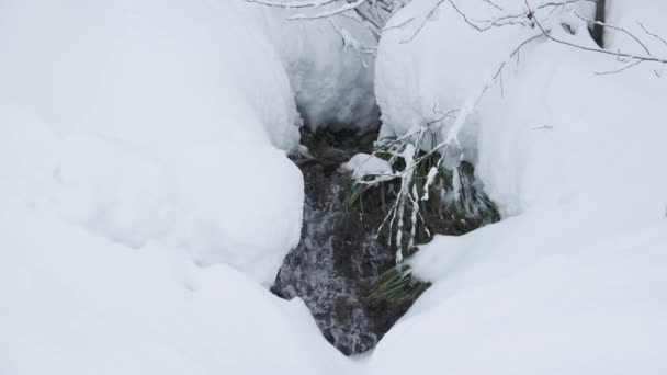Zwolnionym Tempie Szybki Strumień Płynie Wśród Śniegu Górach Zimowej Pogodzie — Wideo stockowe
