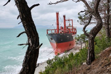 Gelendzhik, Rusya Federasyonu - Jan 19, 2019: Karadeniz fırtınada sonra Rio adlı gemi, karaya oturdu koştu. Novorossiysk liman yükleme için gemi gitti