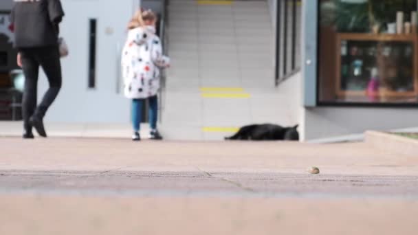 Sokakta Yürüyen Kalabalığın Bacakları Kalabalığın Ayaklarına Yakın Çekim Kalabalık Insanları — Stok video